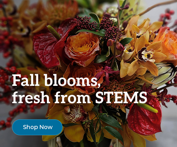 Fall artisanal Bouquet flower arrangement for Halloween Vancouver